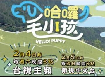 哈啰！毛小孩